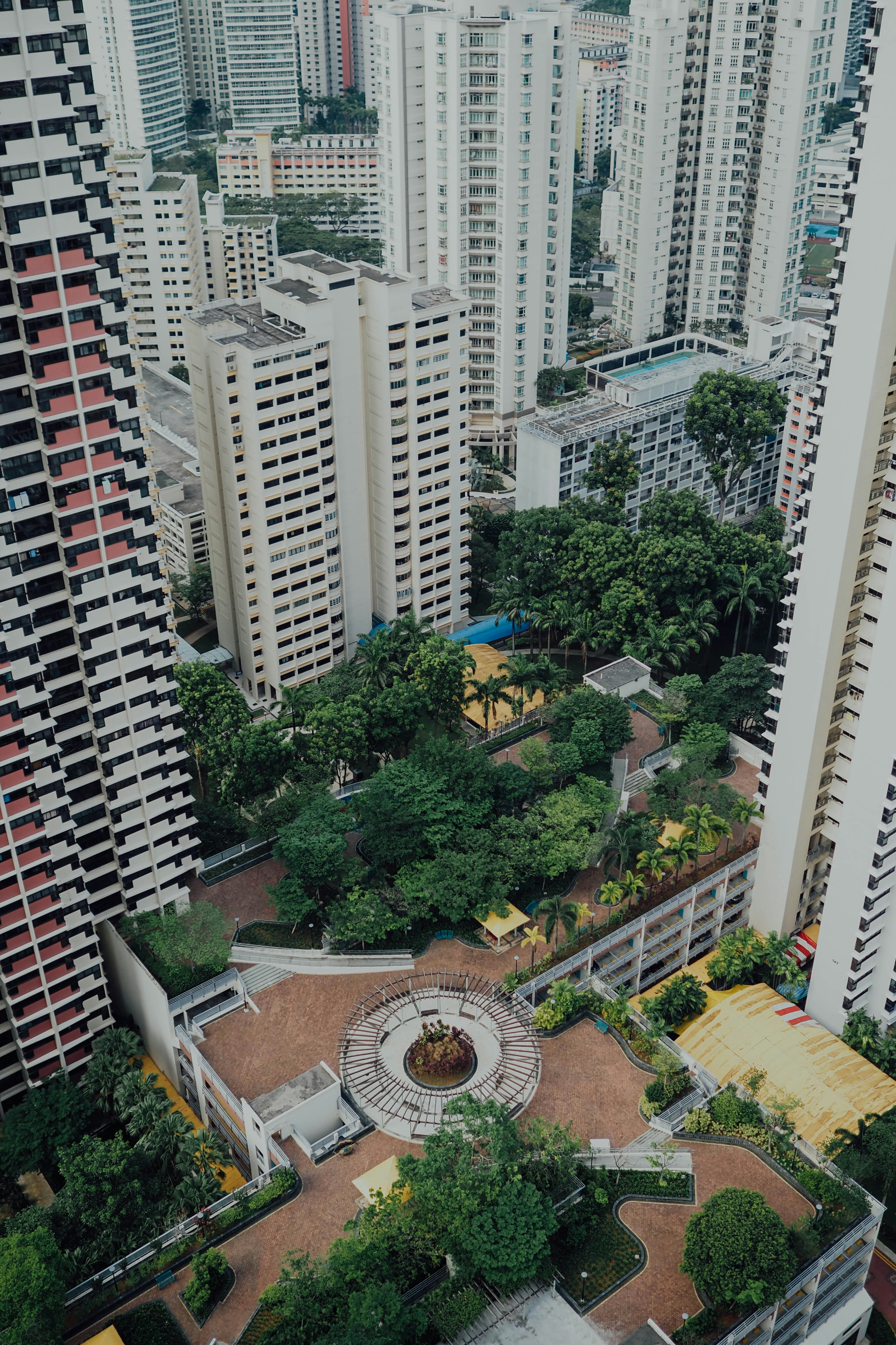 Photo by chuttersnap