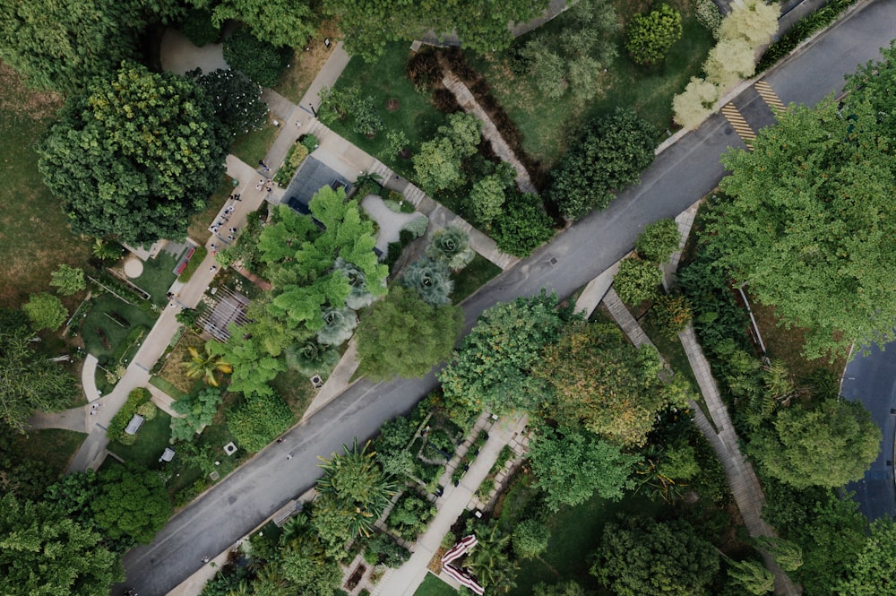 aerial photography of roadway surrounded by trees