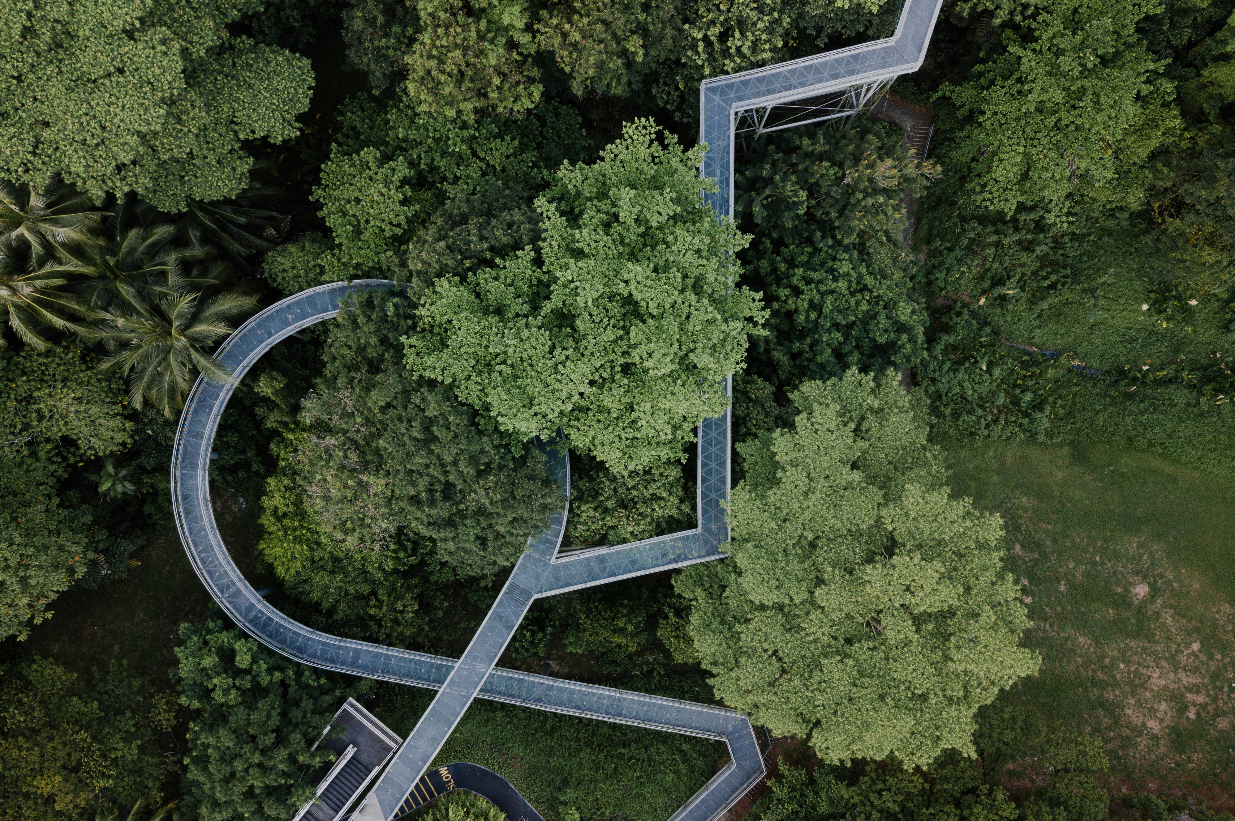 Photo by chuttersnap