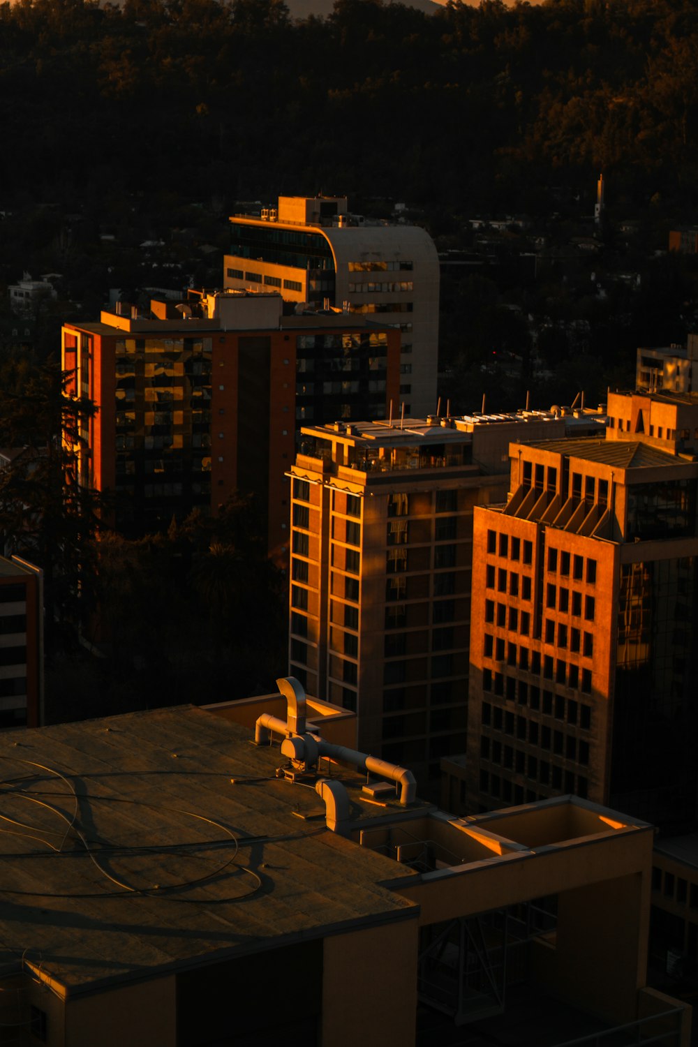 brown concrete building during daytime