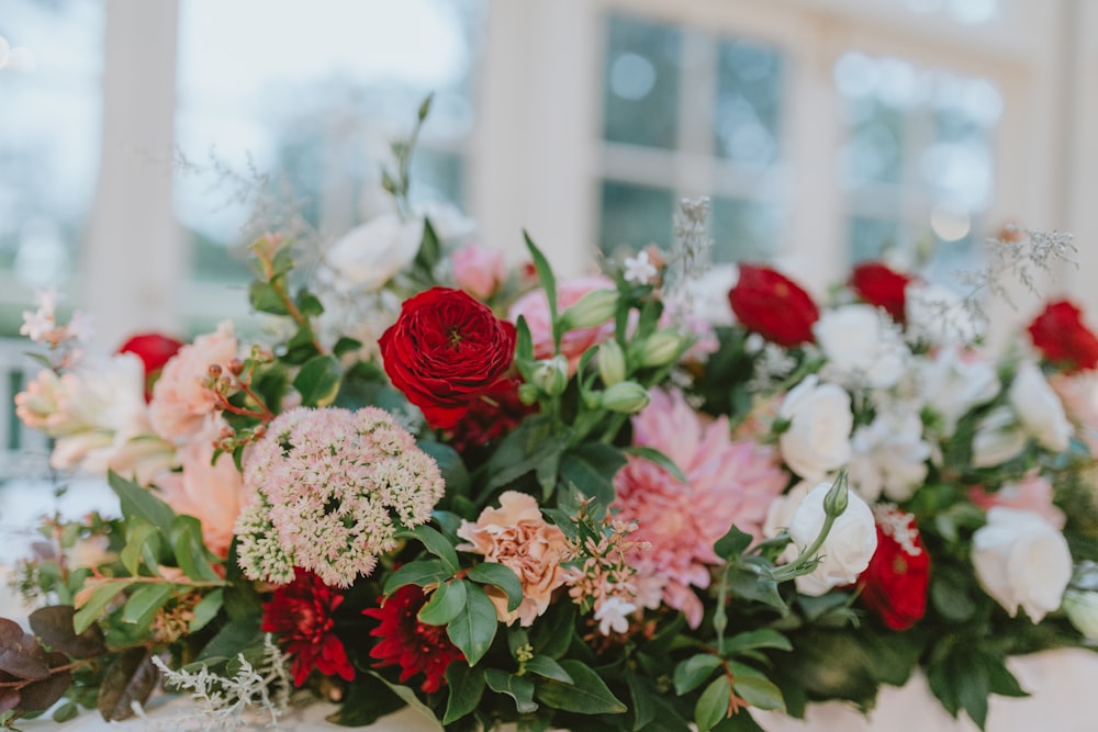 red, pink, and white petaled flowers