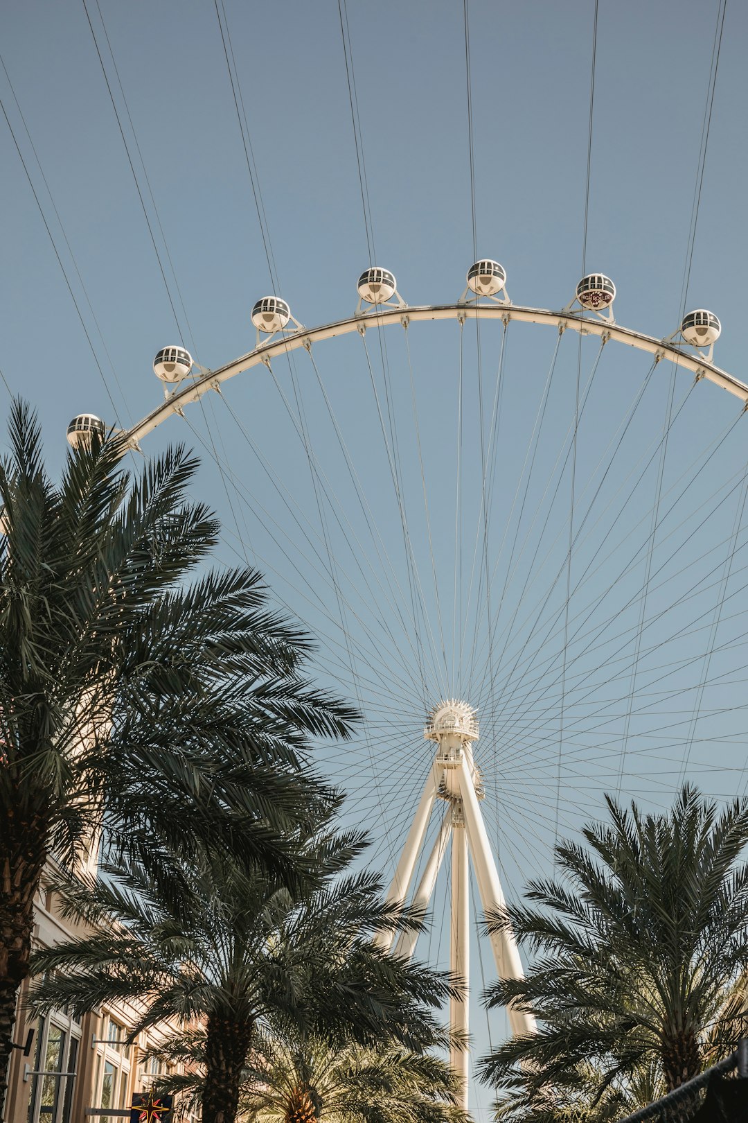 shallow focus photo of white Ferris wheel