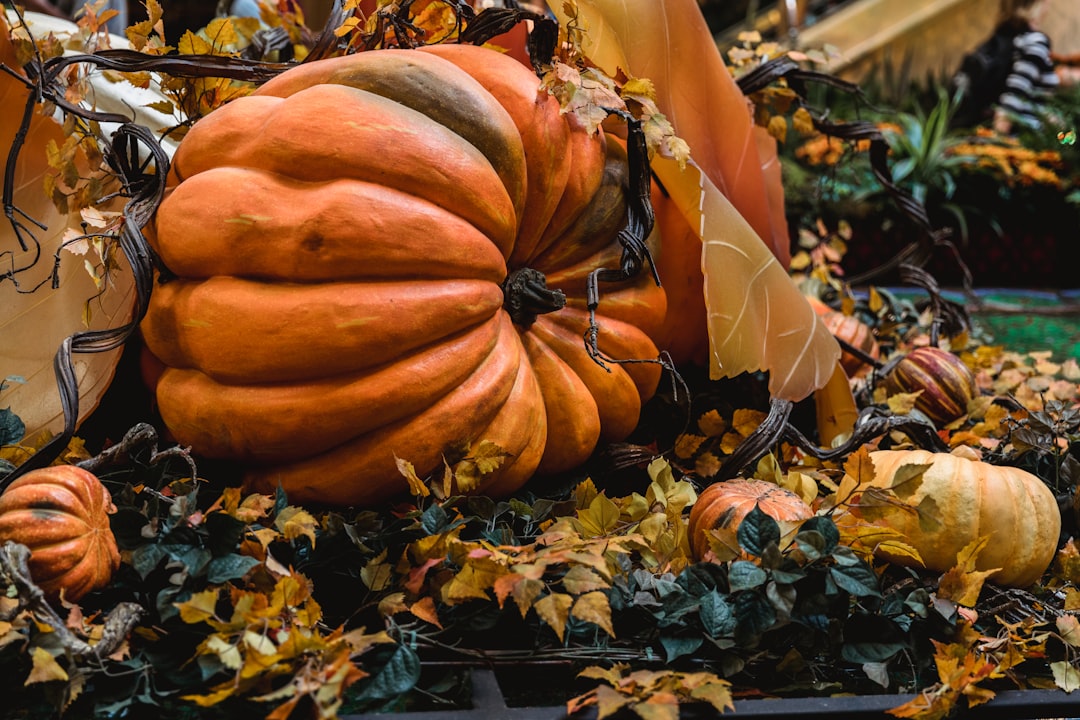 orange pumpkin