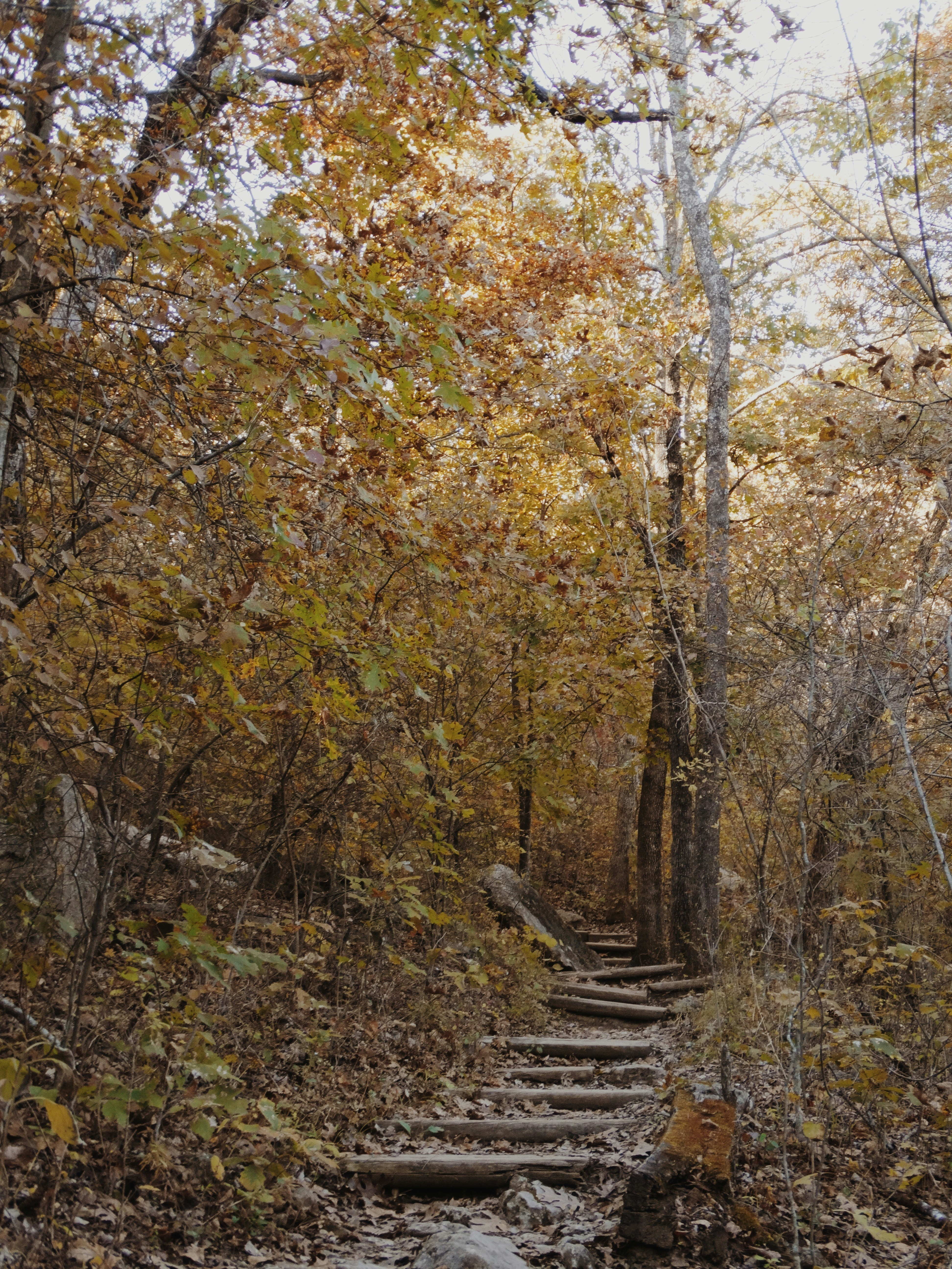 Photo by joyfulcaptures