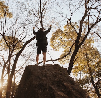 person standing on brown rock near trees