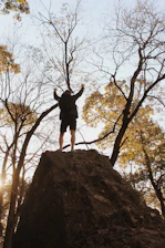 person standing on brown rock near trees