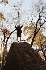 person standing on brown rock near trees