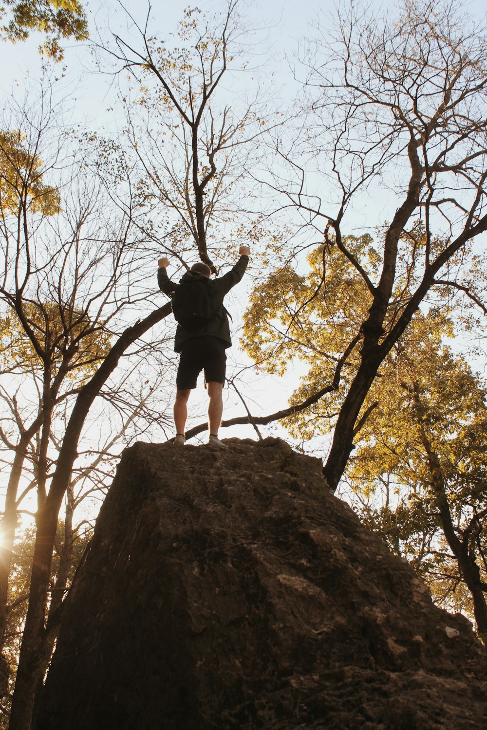 person standing on brown rock near trees