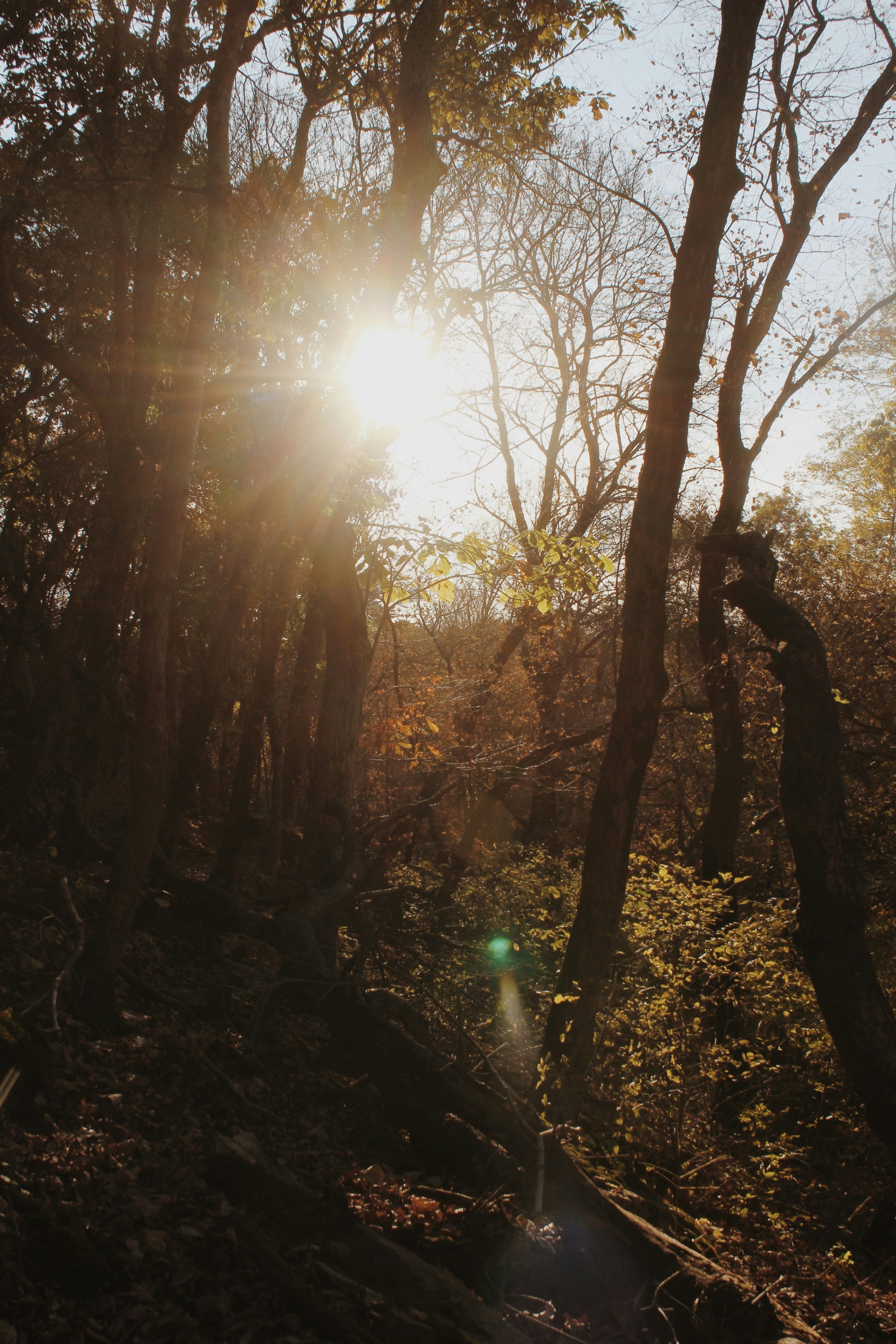 Photo by joyfulcaptures