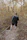Man with a Terraviva backpack hiking along a mountain trail with autumn leaves