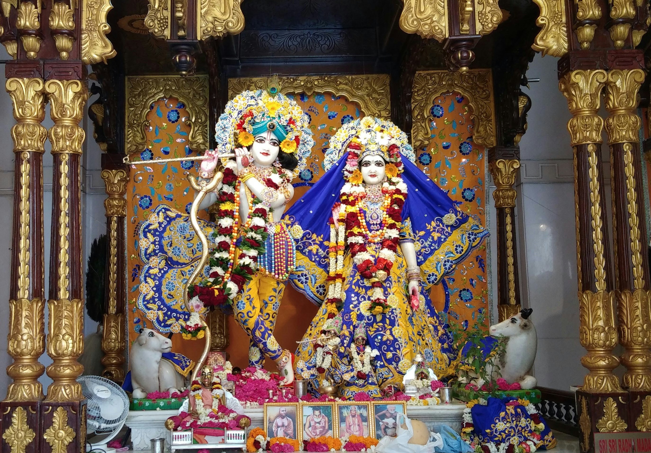 Photo by venkatsudheerreddy1