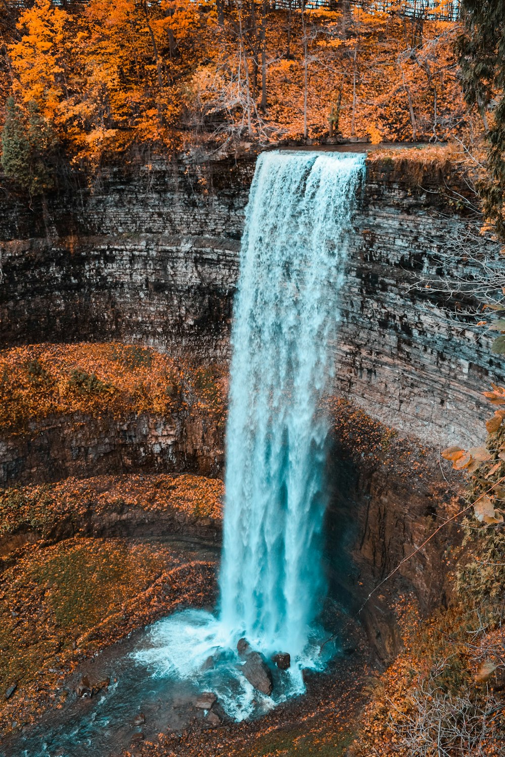 brown trees and waterfalls