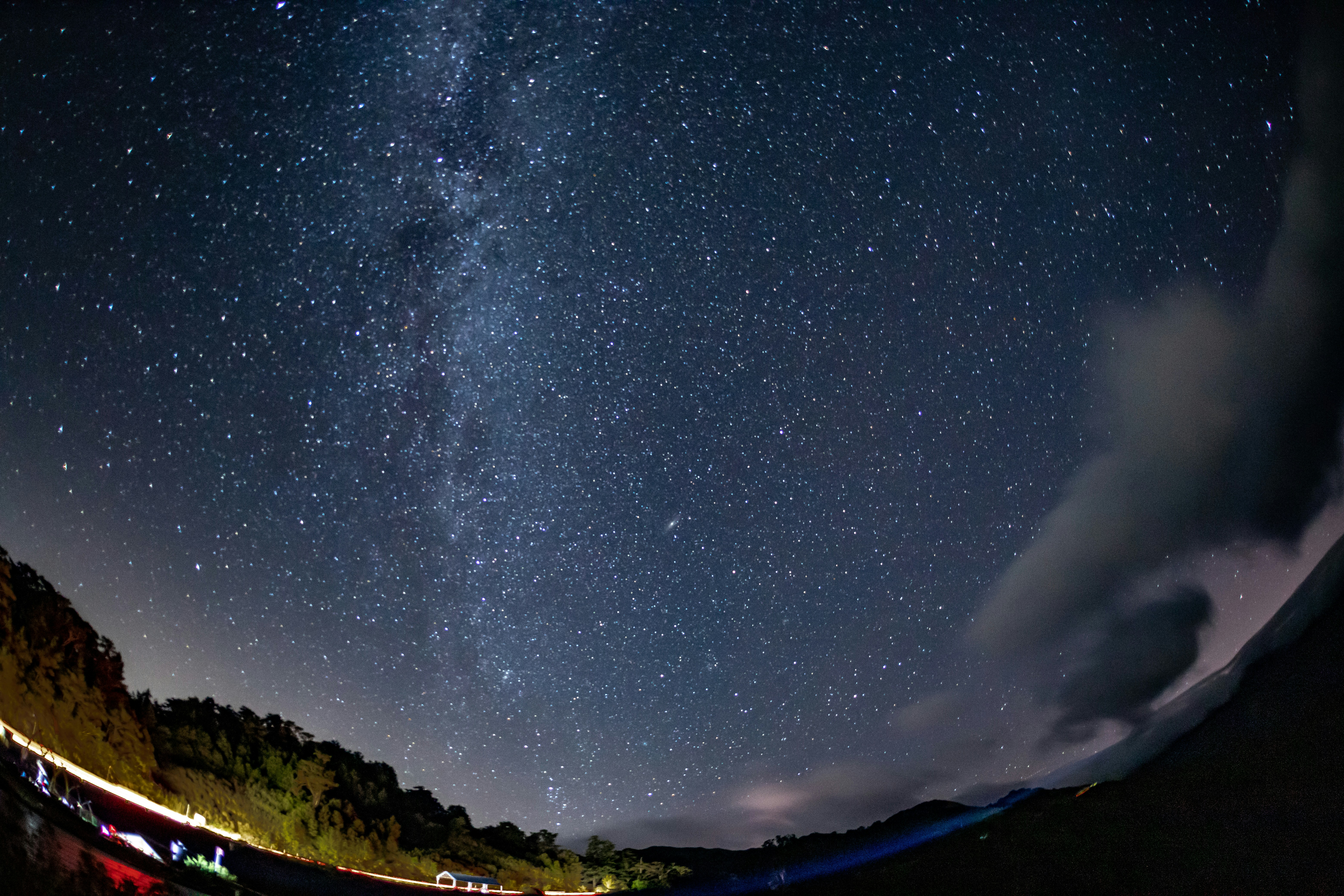 green trees under clear night sky
