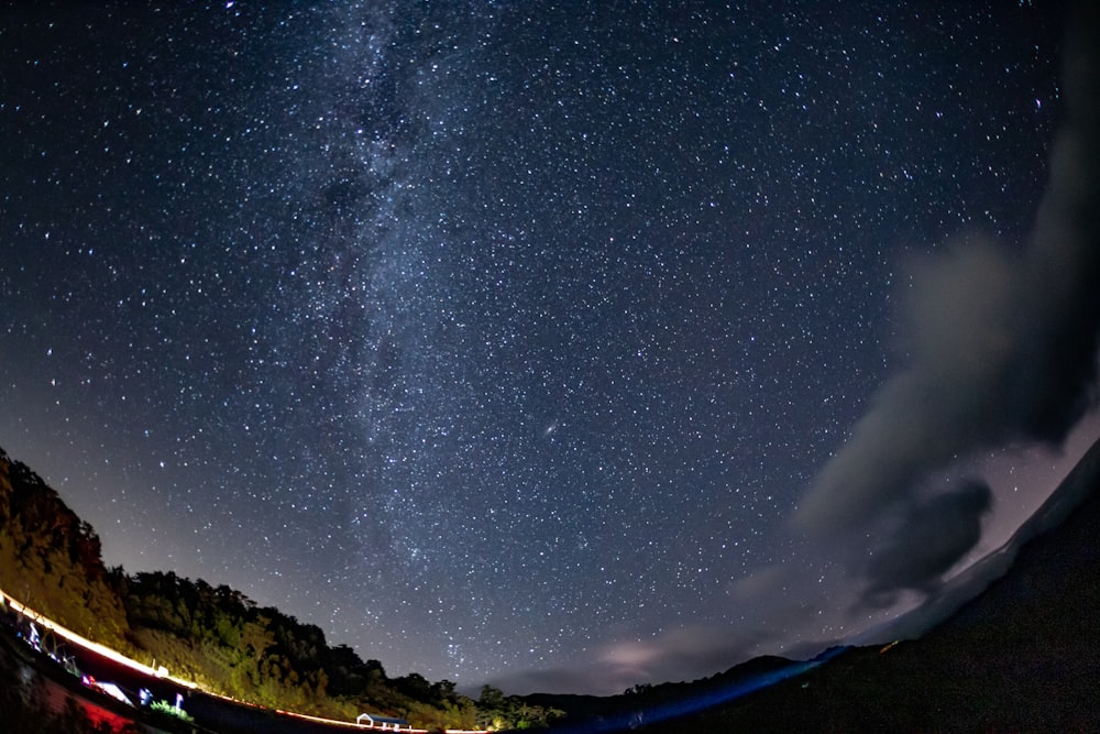 green trees under clear night sky