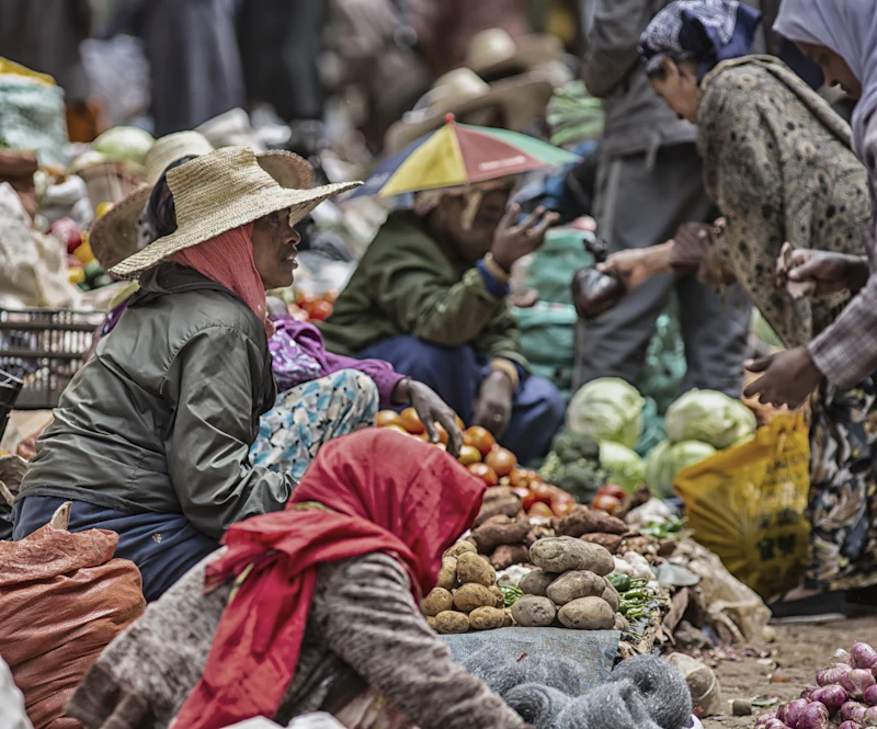 Best Local Markets in Sayulita for Food, Crafts, and Real Community Life