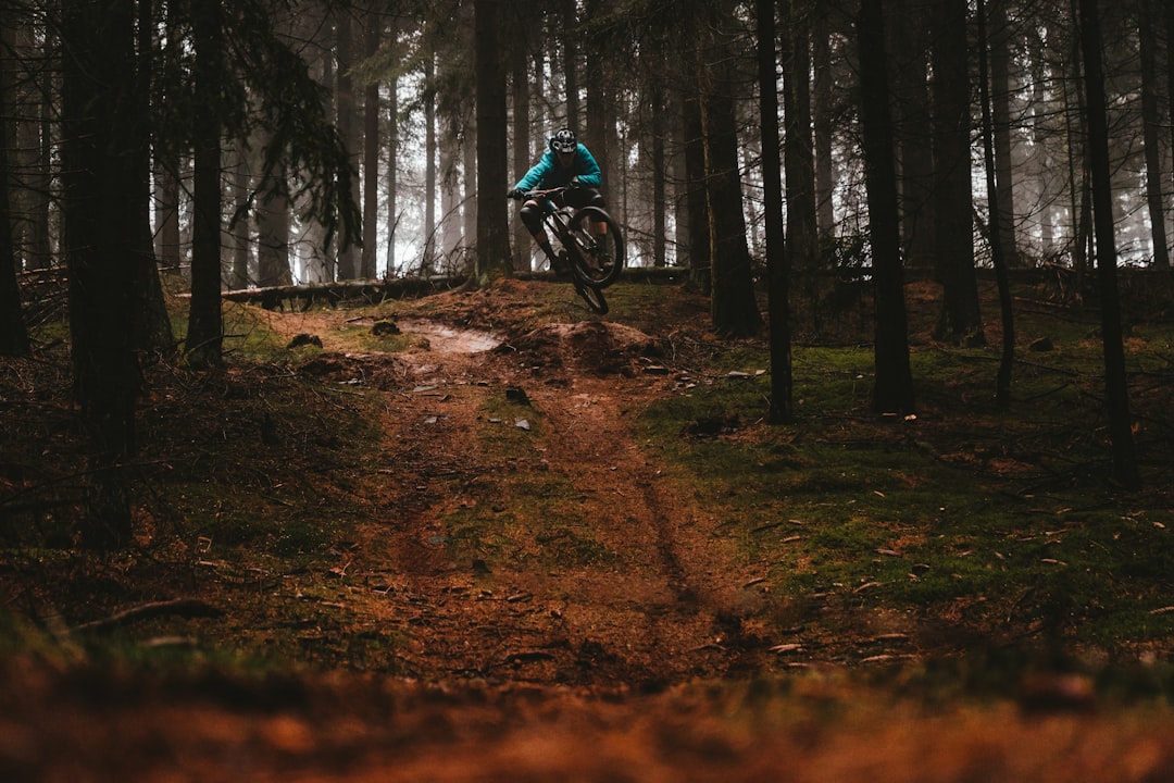 man riding bike between trees