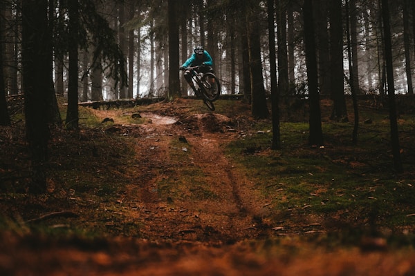 A cyclist wearing a teal jacket and helmet is performing a jump on a mountain bike in a dense forest. The forest is composed of tall trees, and the ground is covered in a mix of dirt and grass. The atmosphere is misty, creating a moody and adventurous feel.