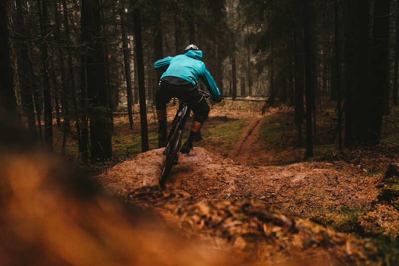 Mountain biker riding a forest trail