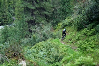 person cycling on forest