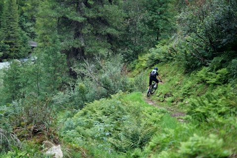 person cycling on forest