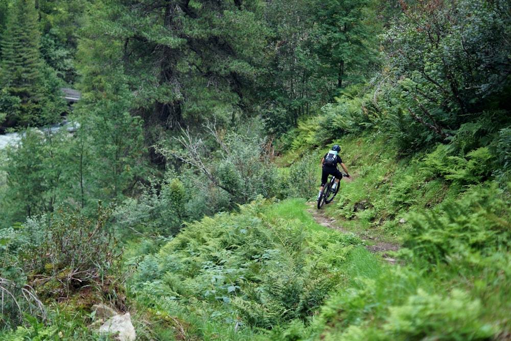 person cycling on forest
