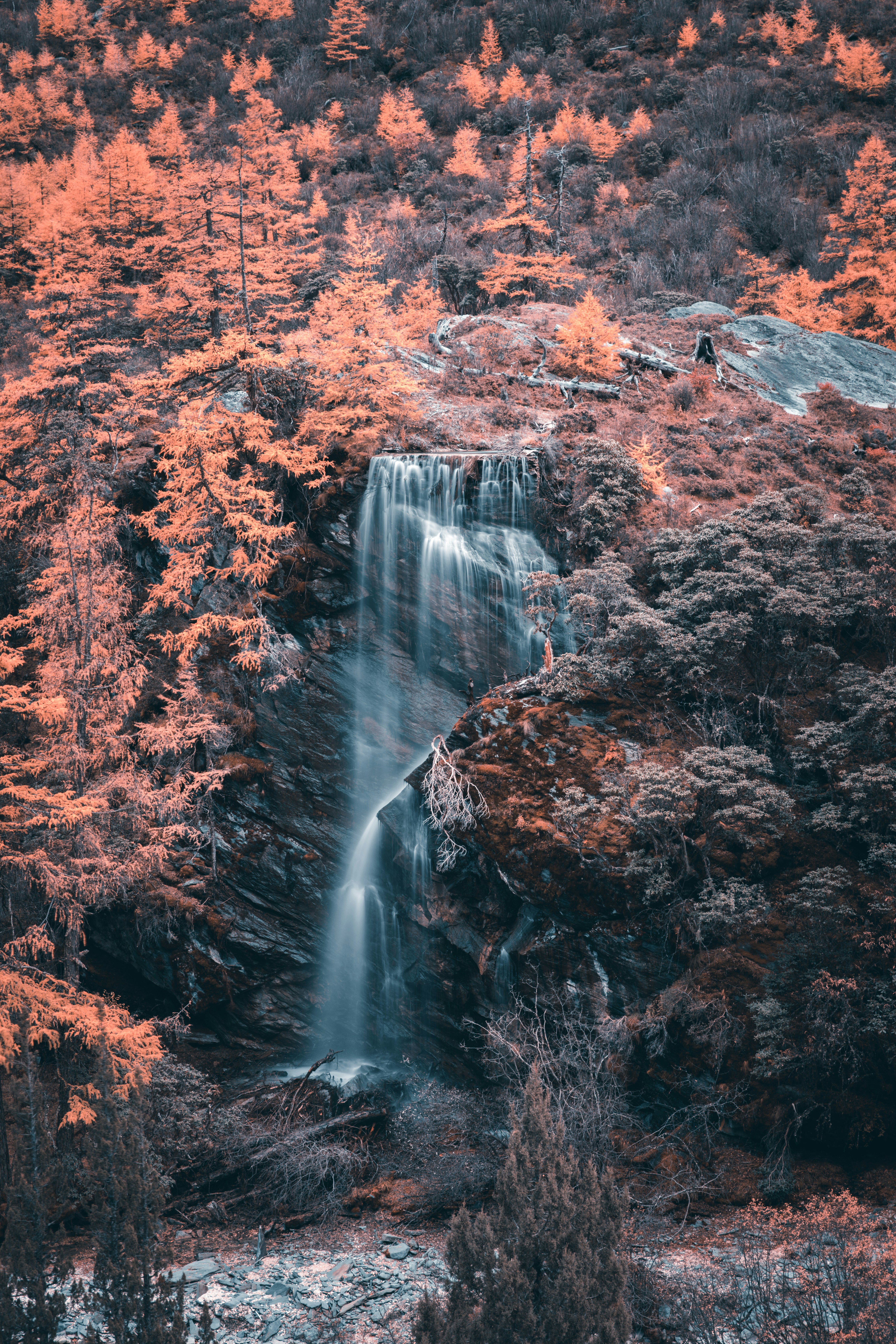 waterfalls in forest during daytime
