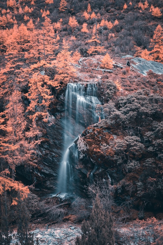 waterfalls in forest during daytime in Garze China