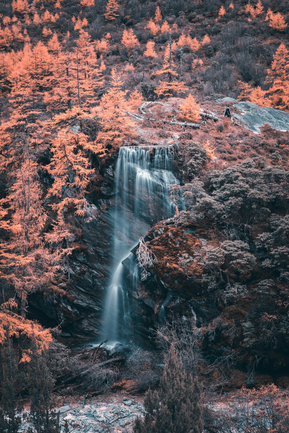 昼間の森の滝