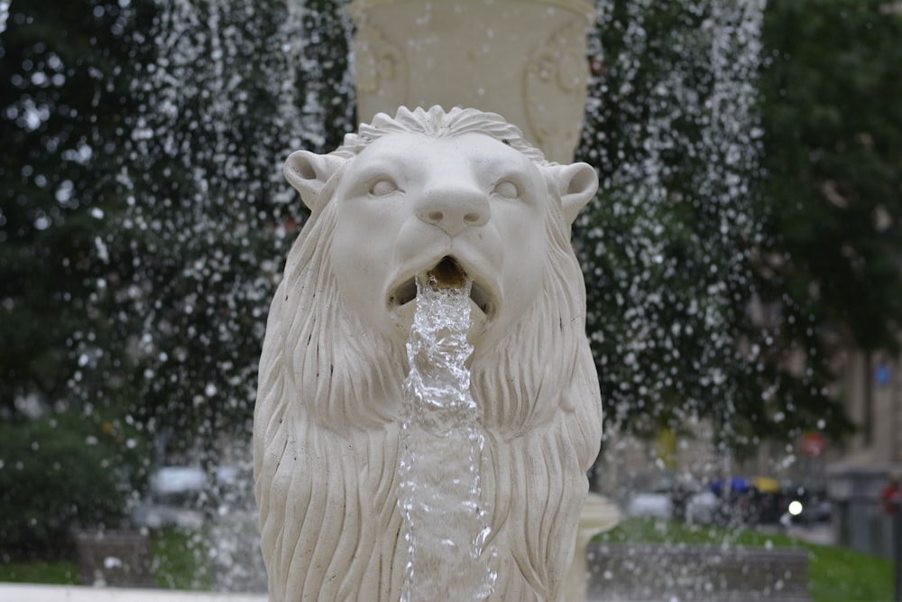 white lion water fountain