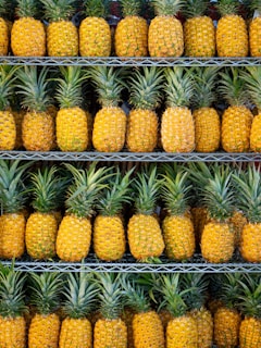 Rows of ripe tropical fruits neatly arranged in a global supply chain warehouse