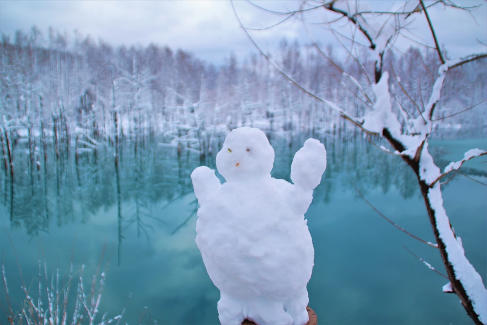 Muñeco de nieve blanco