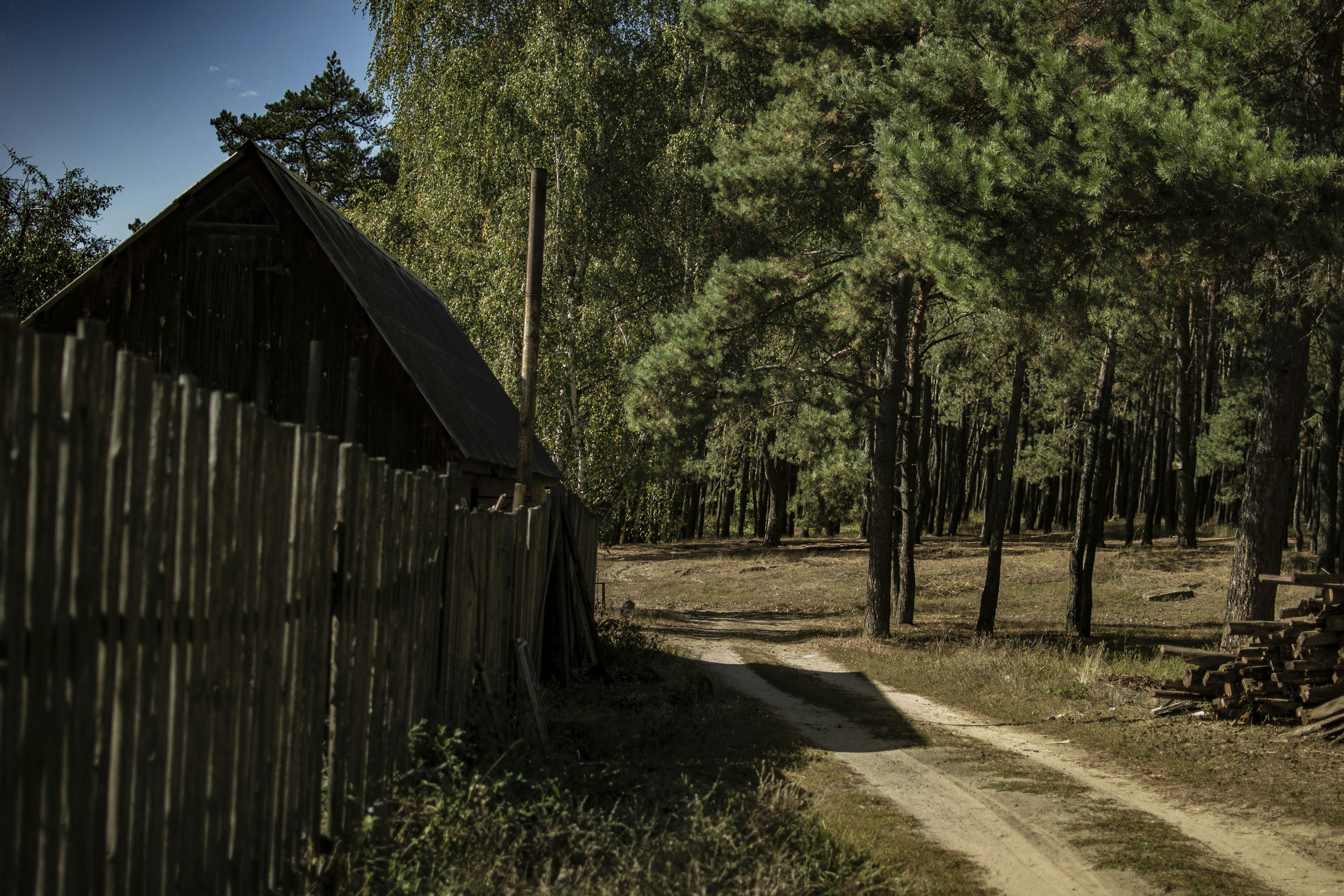 Sumy Village Reports Ignite Geopolitical Risk, Bond Yields Reflect Flight to Safety
