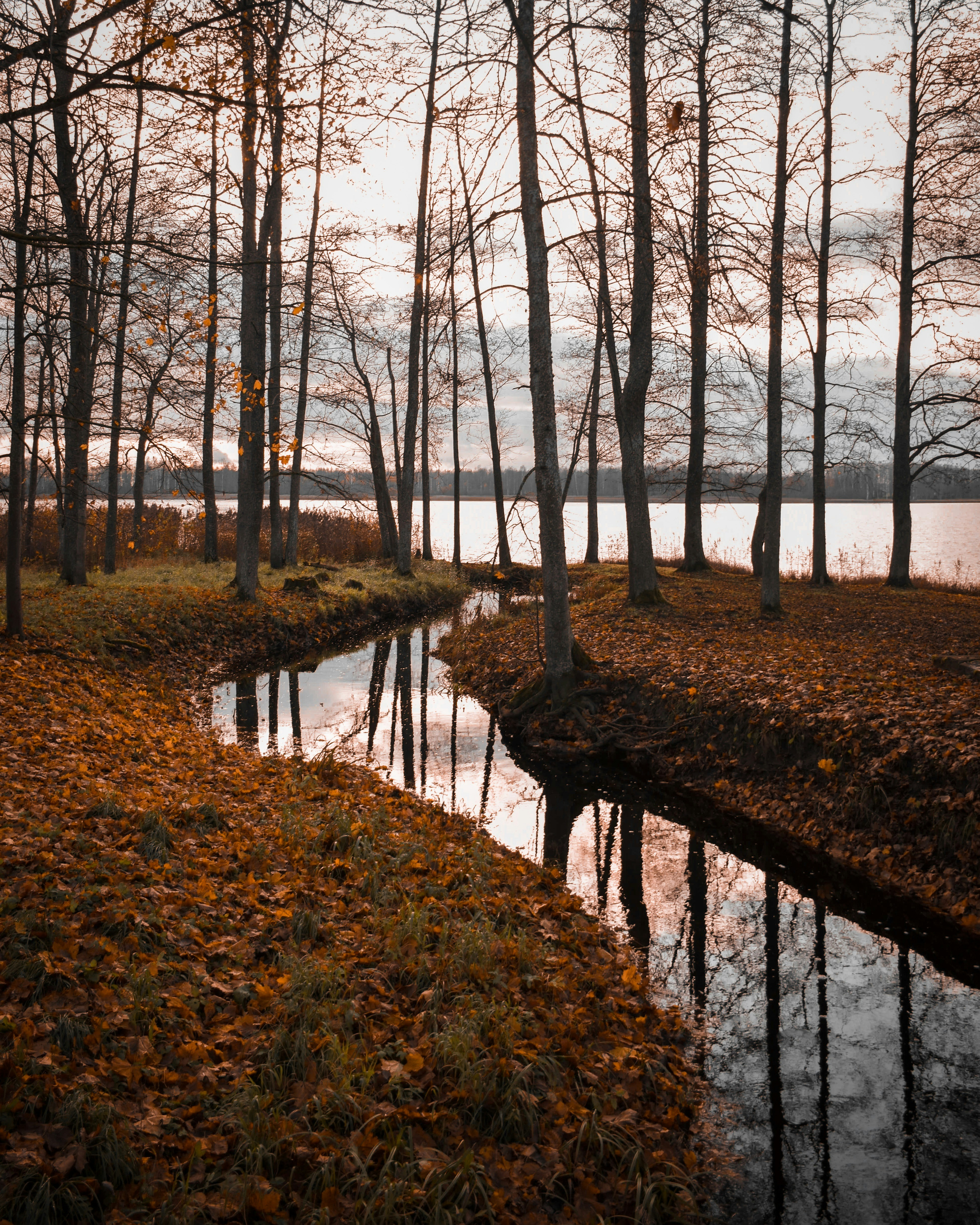 Photo by karliszalans