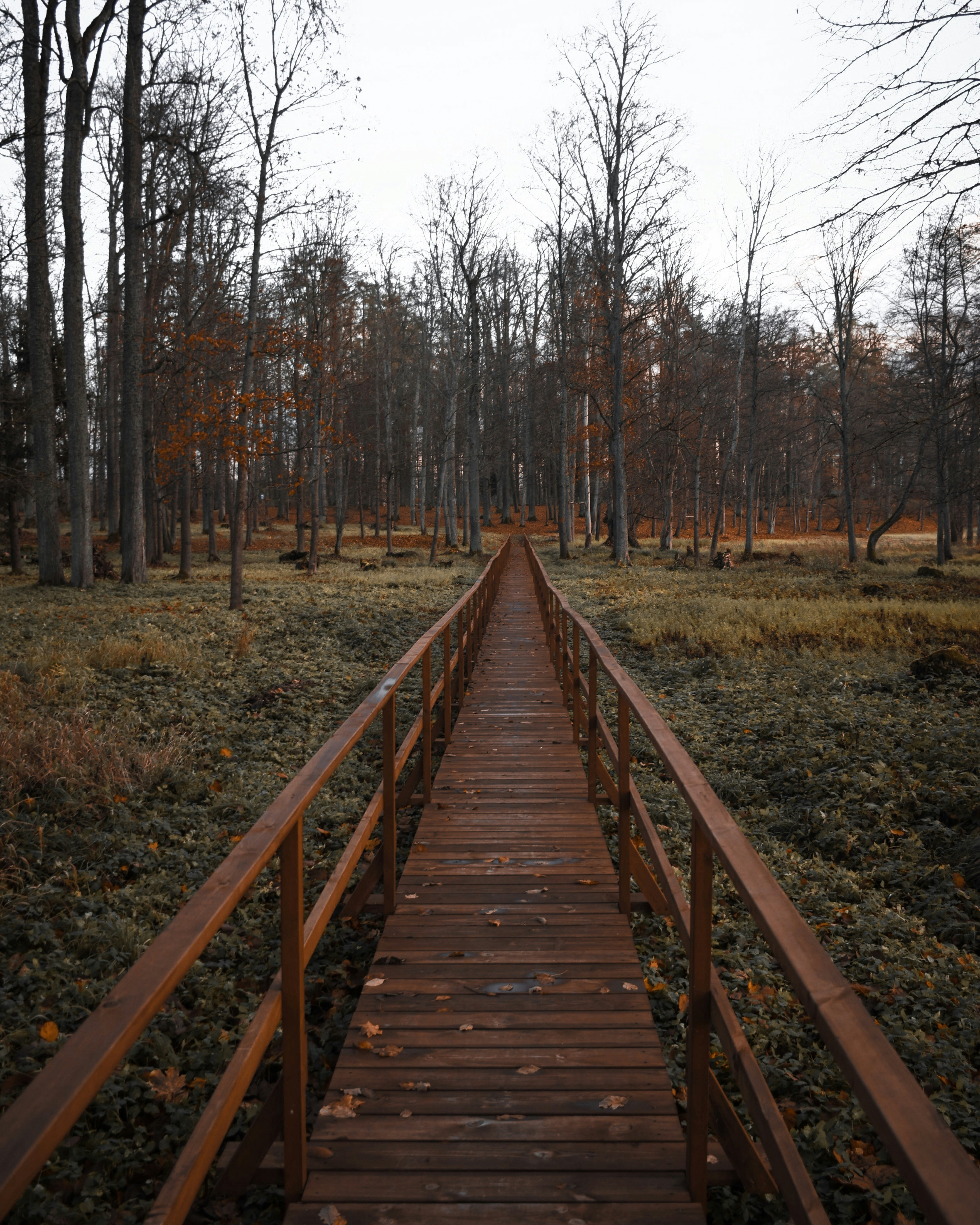 Photo by karliszalans