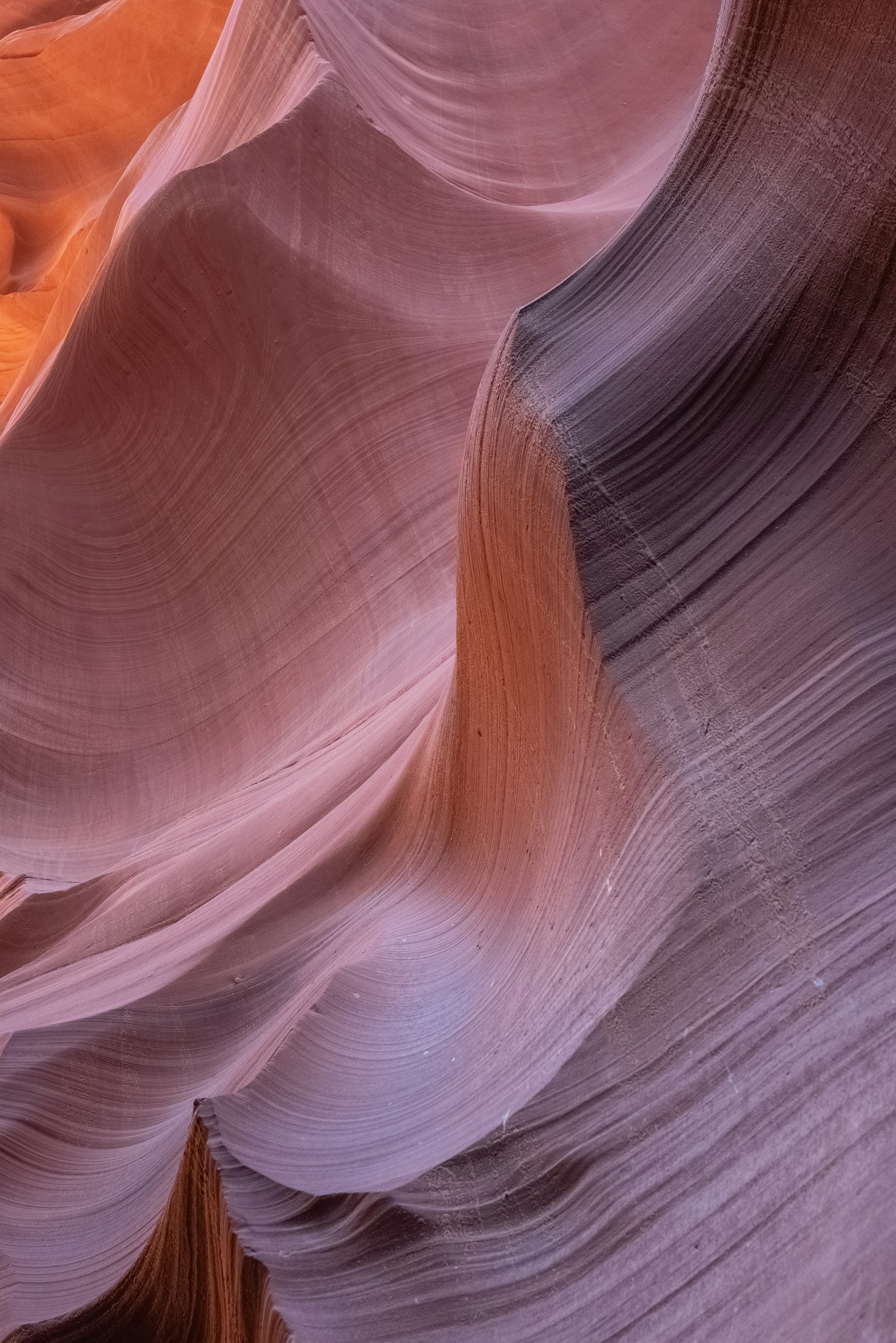 Sony a7R III + Sigma 14-24mm F2.8 DG DN Art sample photo. Grand canyon interior photography