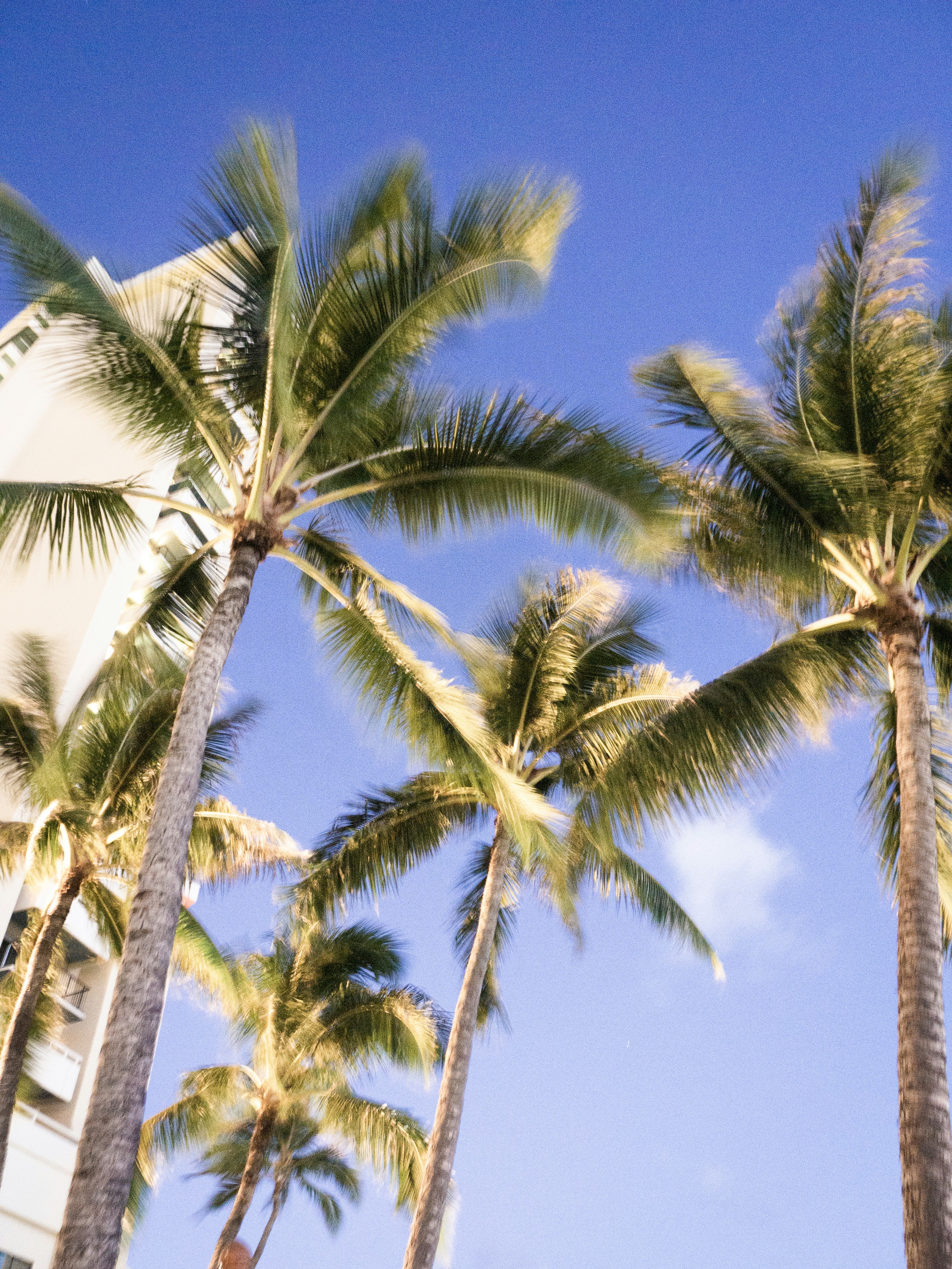 Photo by mrsfionasmallwood