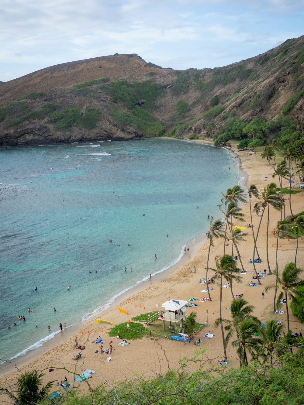 people on beach