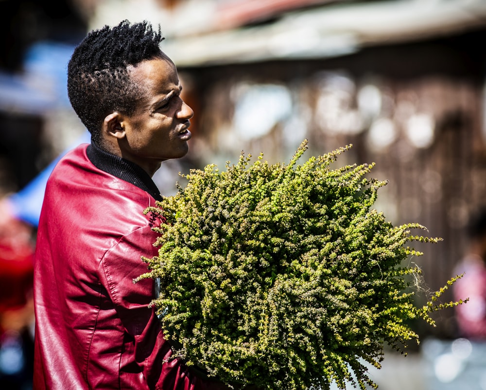 man carrying green plants