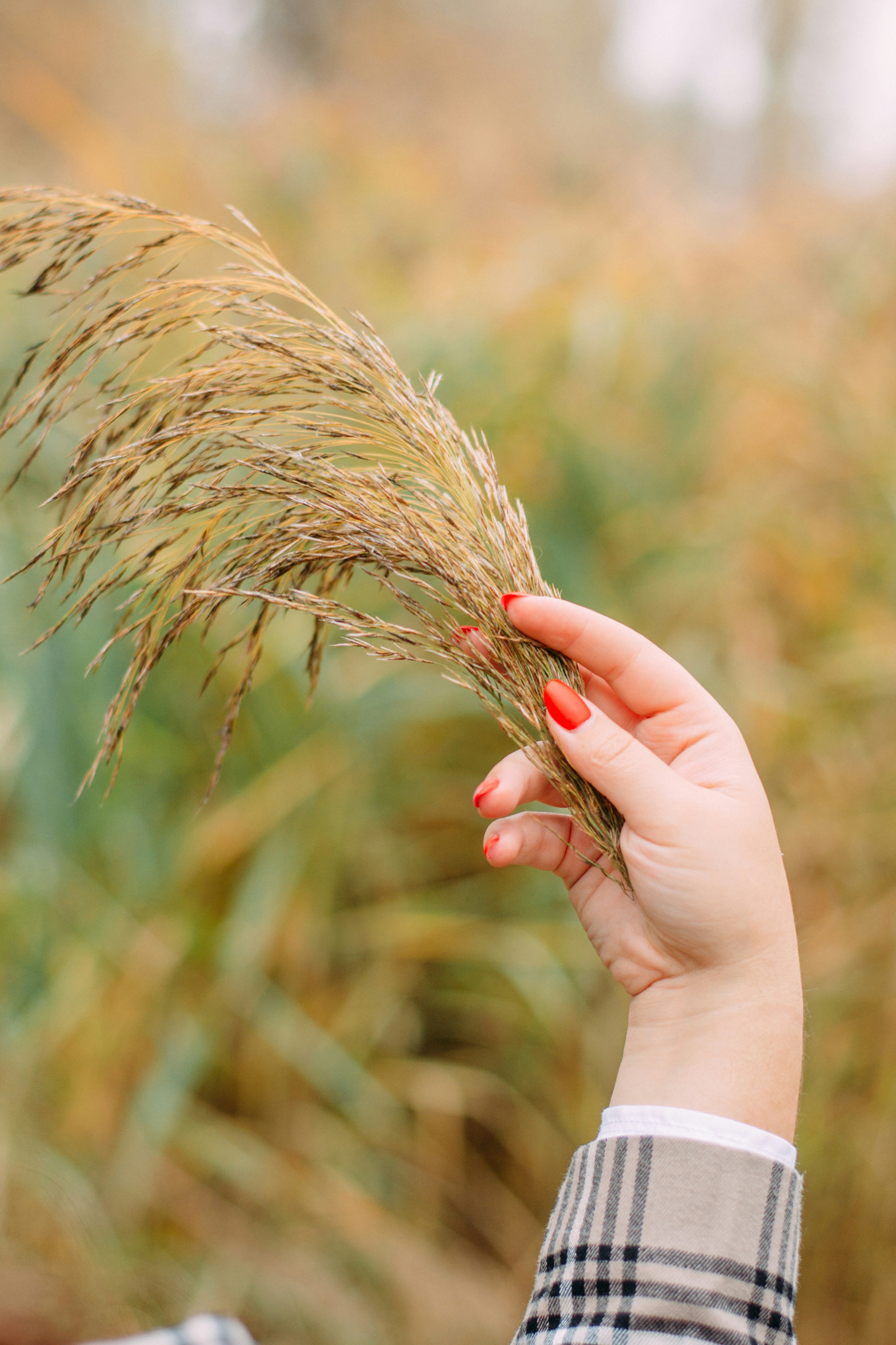 Photo by eugenivy_now