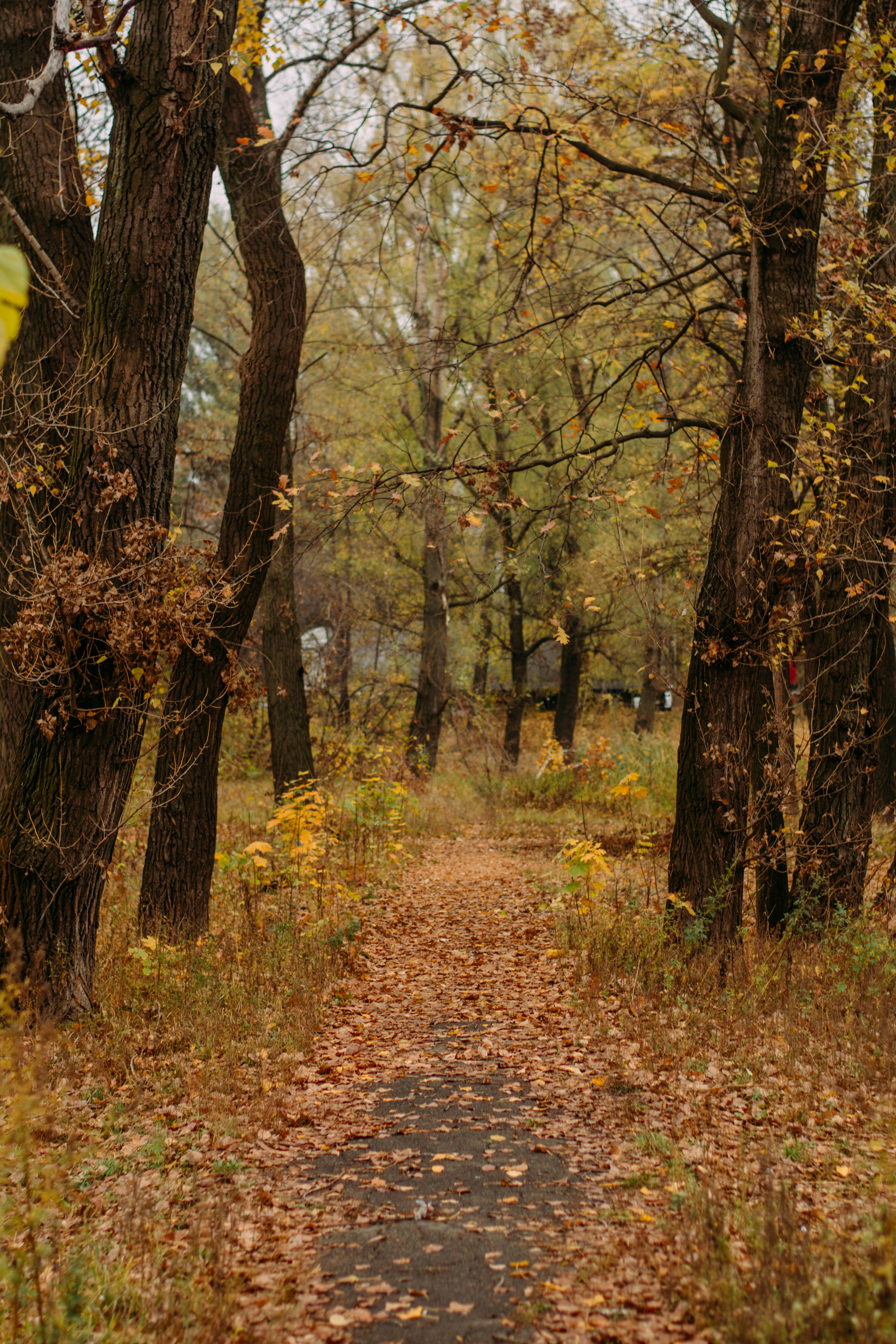 Photo by eugenivy_now