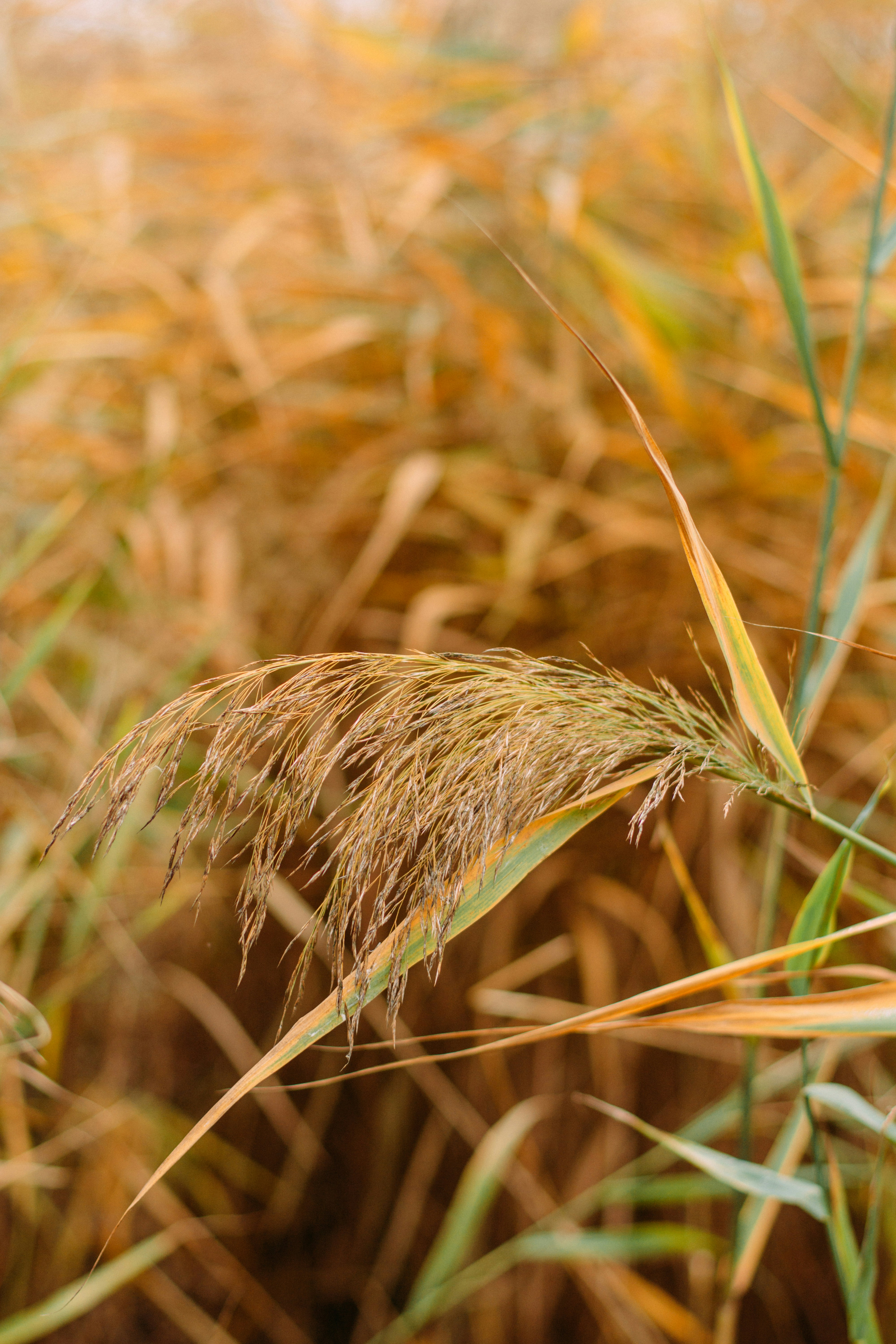 Photo by eugenivy_now