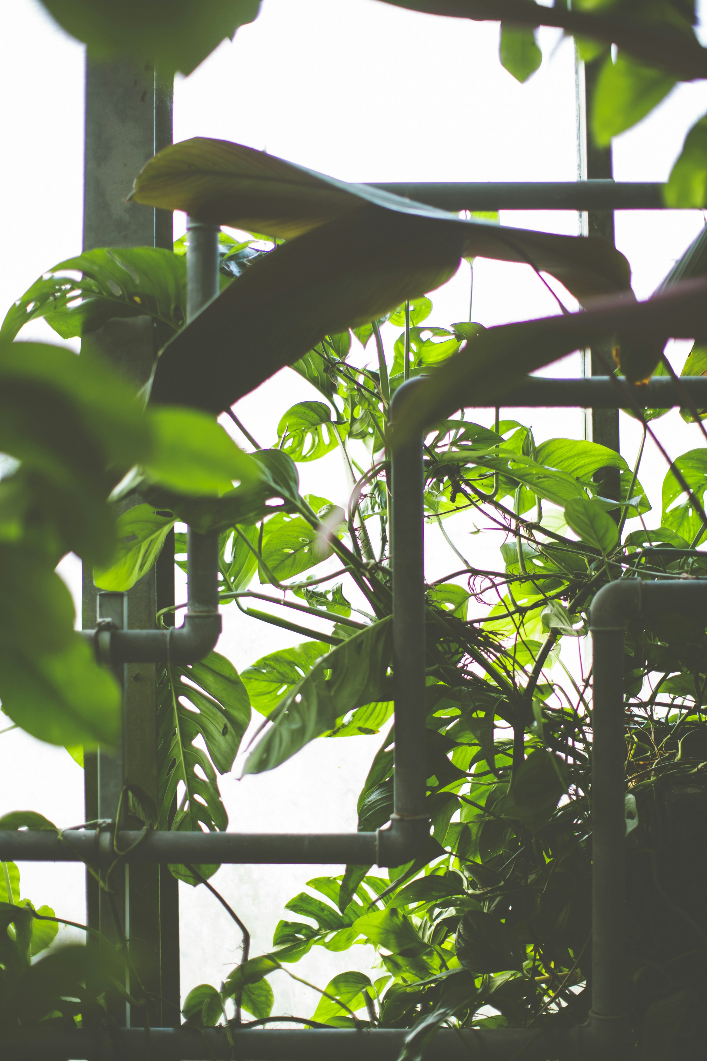 Photo by markusspiske