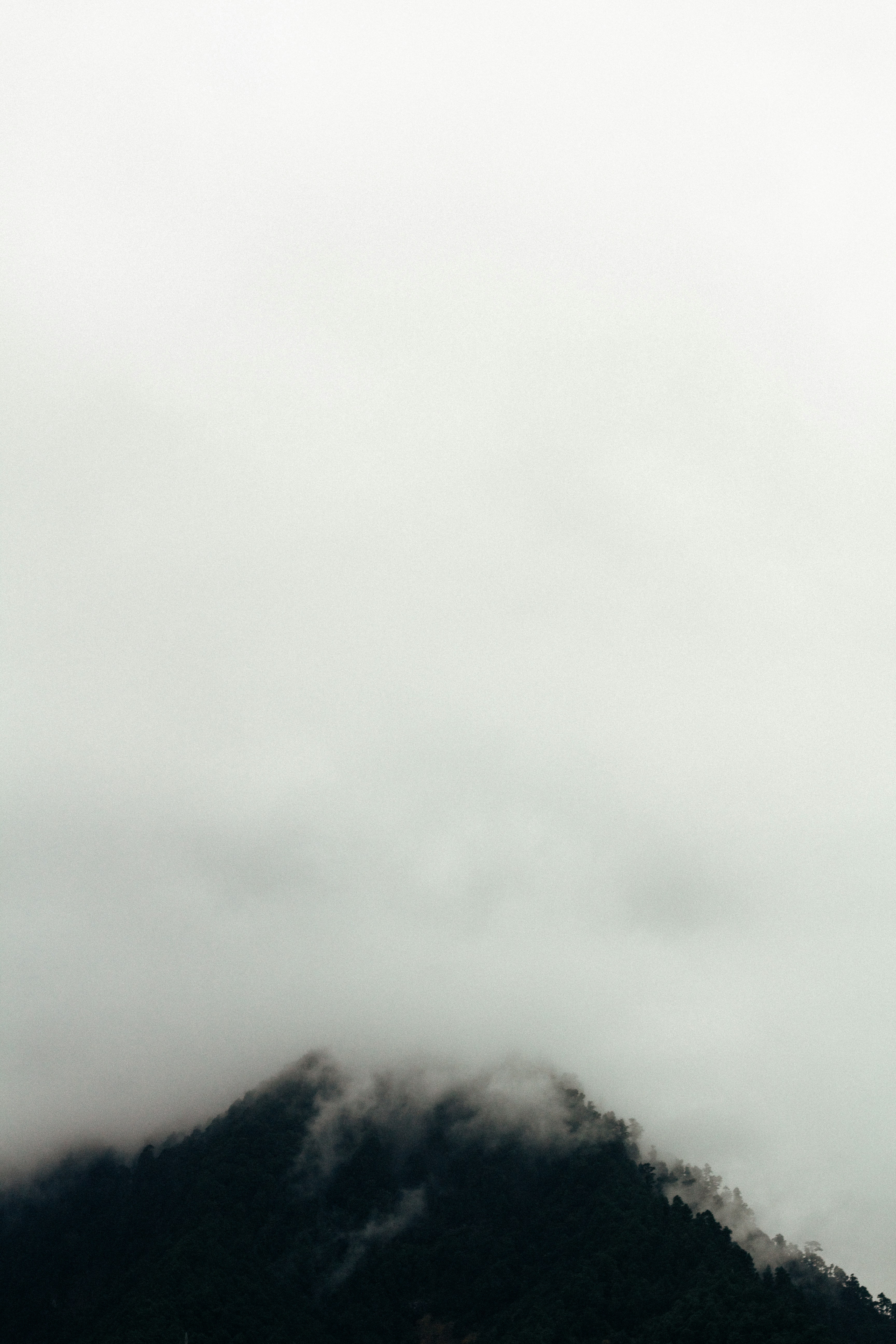 montagne couverte de brouillards