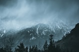 A misty morning view of the snow-capped Himalayas with pine trees in the foreground.