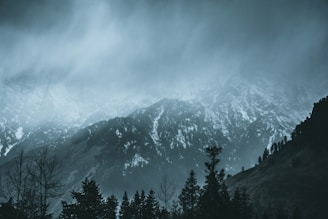 A misty morning over a Montana mountain range with pine trees in the foreground.