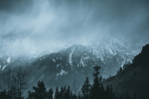 A misty morning over a Montana mountain range with pine trees in the foreground.