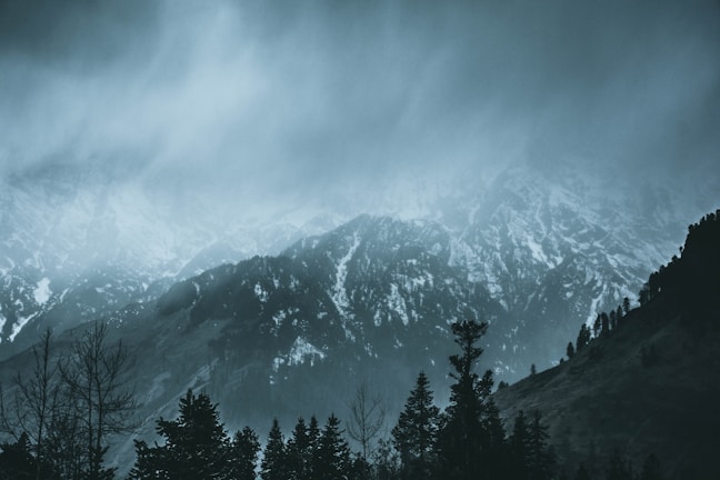A misty morning view of the snow-capped Himalayas with pine trees in the foreground.