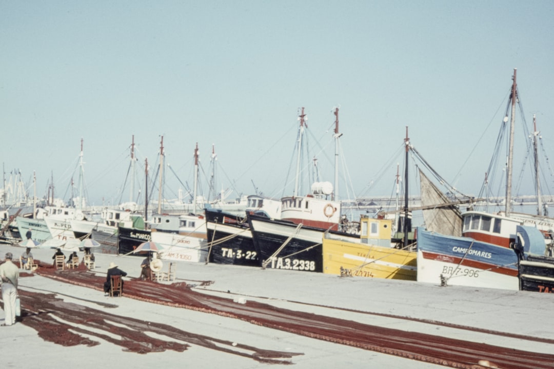 photo of multicolored canoes boats