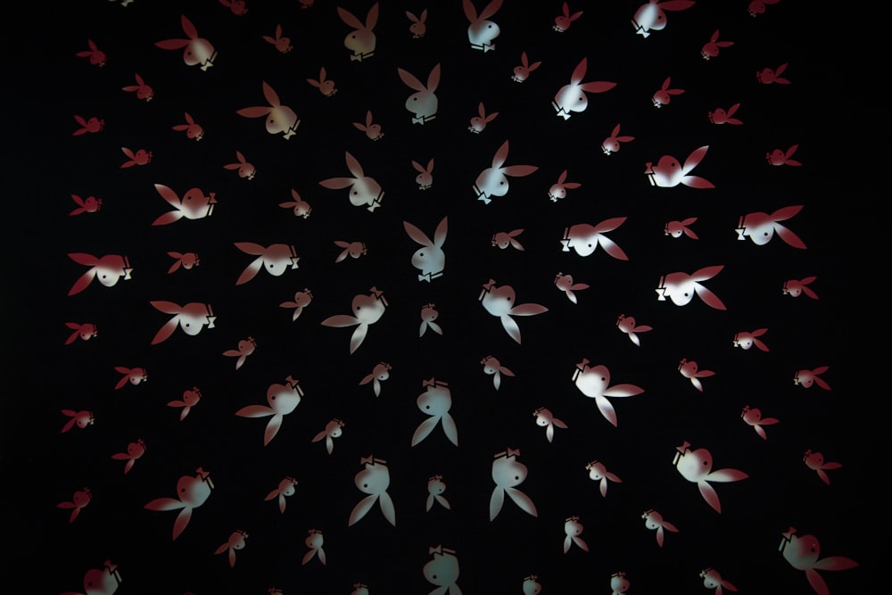 a group of small white and red objects floating in the air