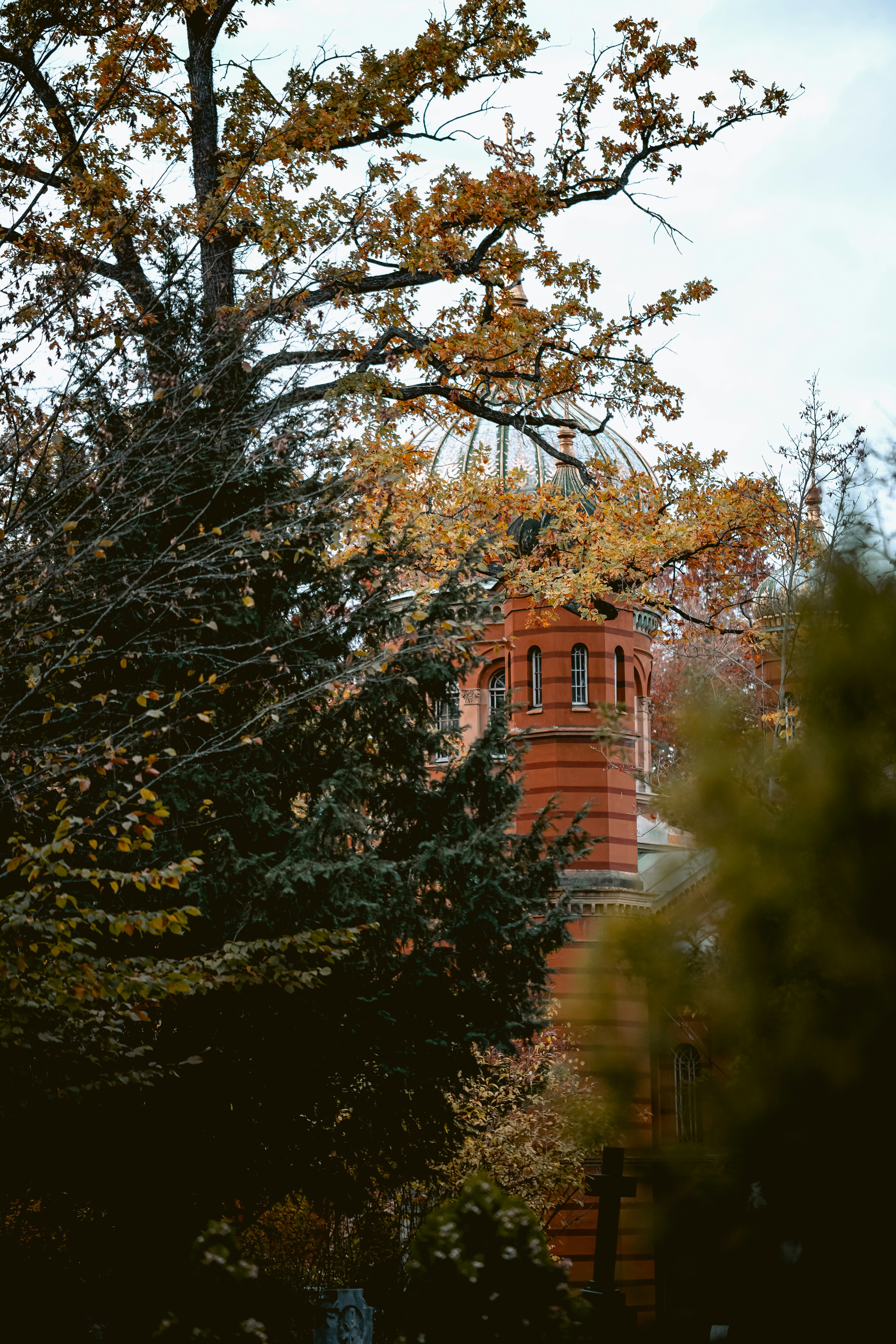 Photo by niklas_hamann